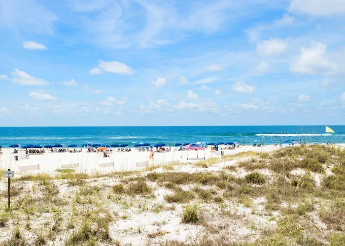 Palm 21c By Collection Gulf Shores